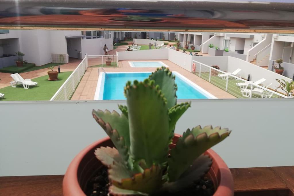 Blue Ocean Corralejo: Sunny Terrace, Pool, Wifi Appartamento